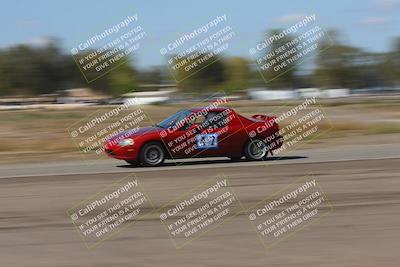 media/Oct-04-2025-OnGrid (Sat) [[44bd565ffa]]/Purple Group/Grapevine/